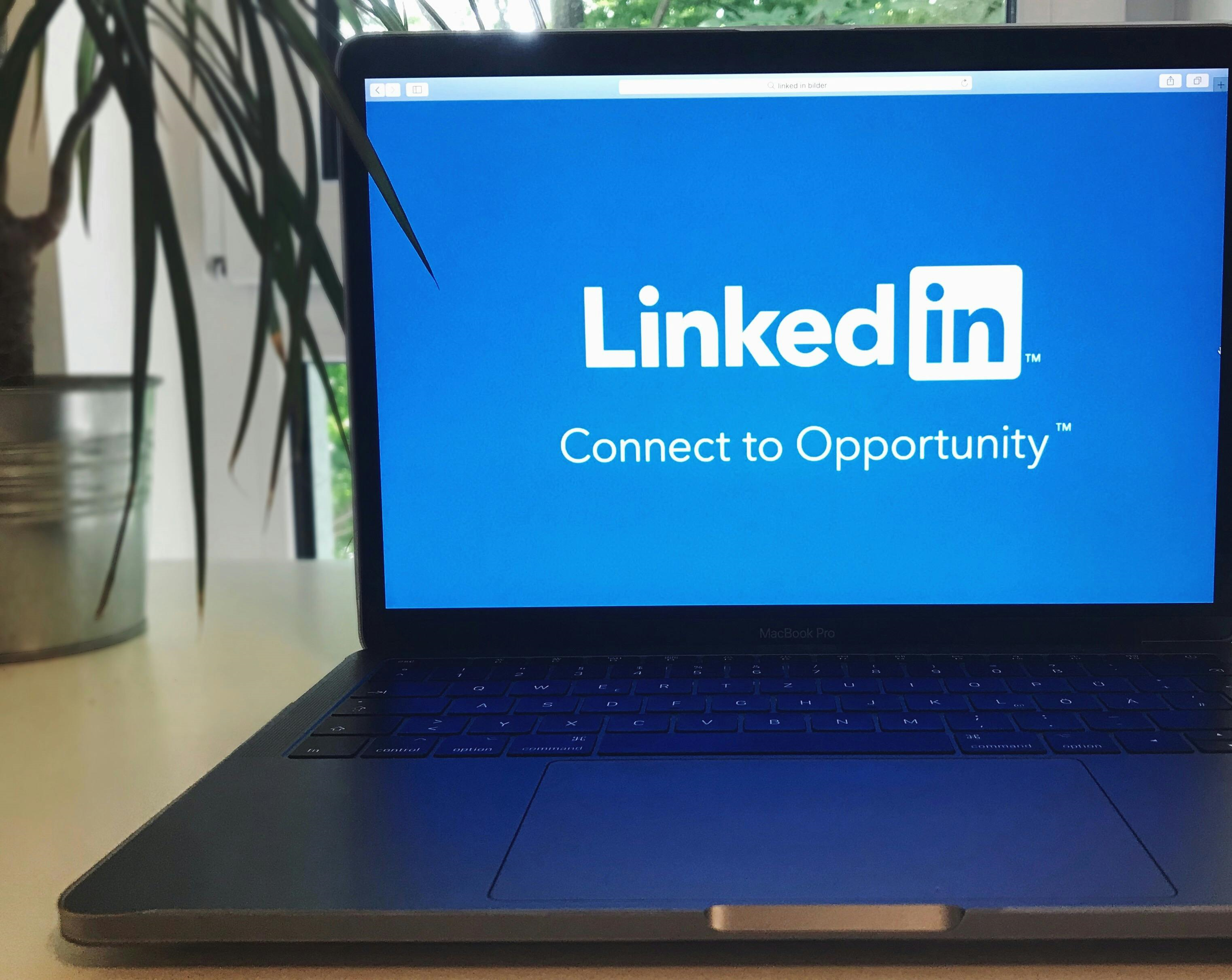 LinkedIn Marketing Mastery - Unlocking the Power of Professional Networking